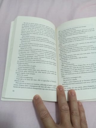 Camps de maduixes