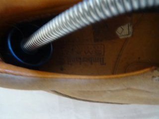 Náuticos Timberland Beige/Marrón