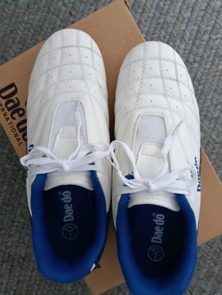 Zapatillas Daedo Blancas y Azules