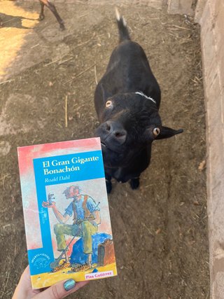 El gran gigante bonachón