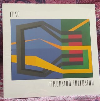 LOTE TECHNO, ACID, HOUSE EN VINILO 10