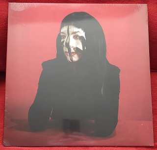 LOTE TECHNO, ACID, HOUSE EN VINILO 10