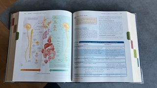 Anatomía y Fisiología – Thibodeau y Patton | 6.a e
