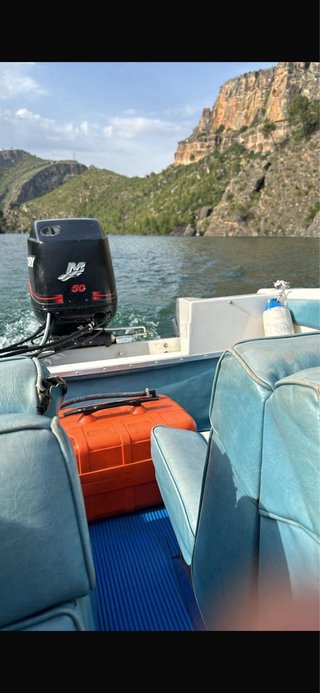 Mercury 50 CV Pro 2006 Cola L