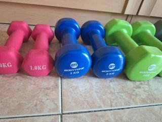 Mancuernas 1-6 kg