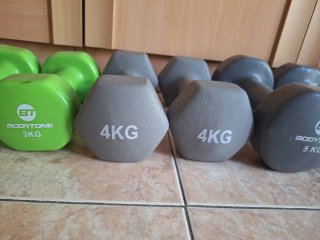 Mancuernas 1-6 kg