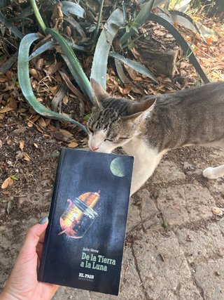 De la tierra a la luna