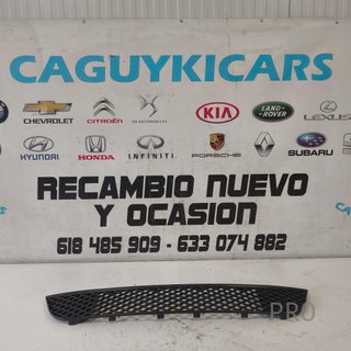 REJILLA CENTRAL PARAGOLPES FORD FIESTA NUEVO 107103803