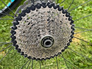 Ruedas bici MTB DT Swiss X1700 29” Tubeless XT