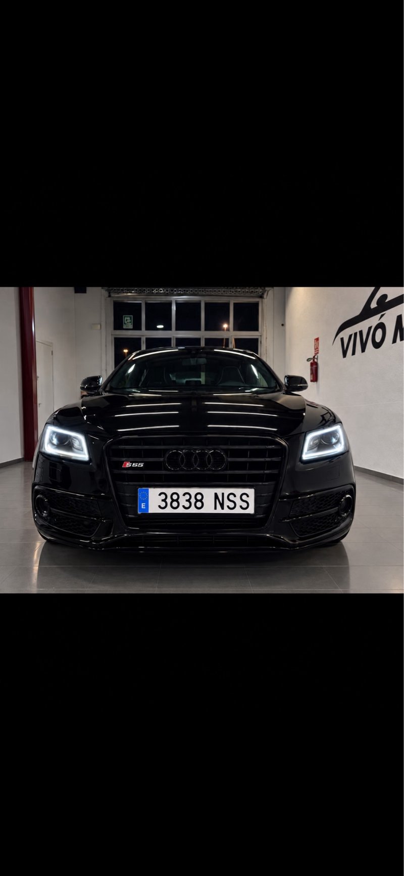Audi SQ5 2016, foto 2