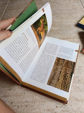 Libro de la gran fauna el lince ibérico.