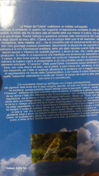 Libro La Magia del Colore
