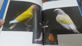 Libro La Magia del Colore