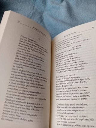 El fulgor: Antología de JA Valente (1953-2000)