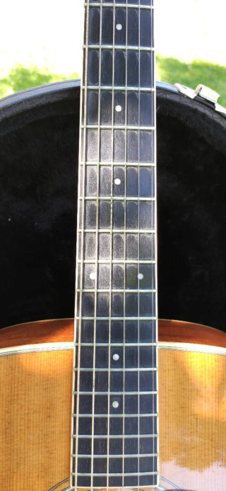 Guitarra Taylor DNS