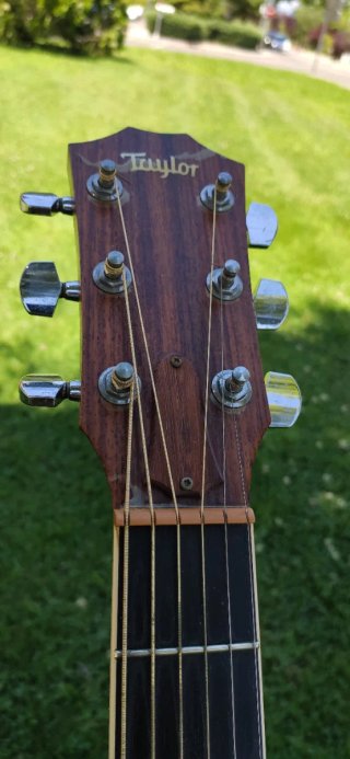 Guitarra Taylor DNS