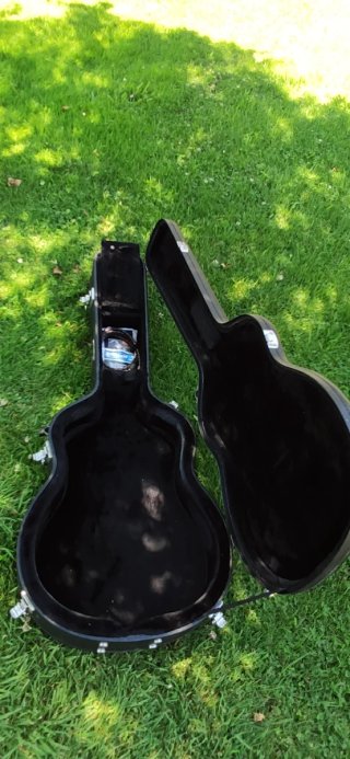 Guitarra Taylor DNS