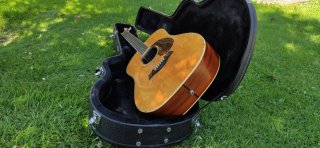 Guitarra Taylor DNS
