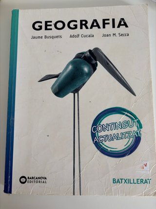 Geografia, Batxillerat