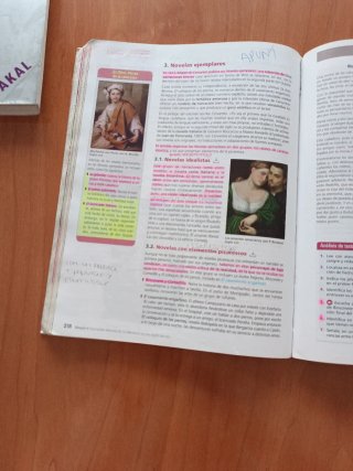 Lengua castellana y literatura Bachillerato