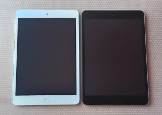 2 iPads Mini (Leer)