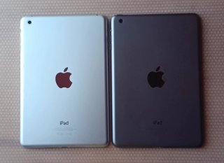 2 iPads Mini (Leer)