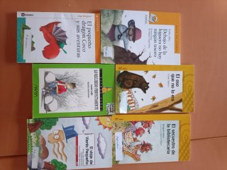 Lote 5 Libros Infantiles en Español