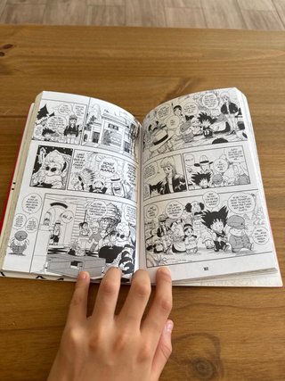 Bola de Drac Definitiva 1
