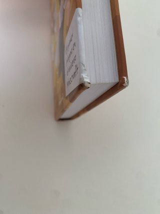Diario de un aldeano hiperpringao