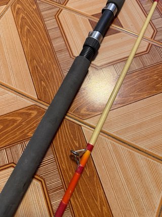 Caña de pesca carpfishing y siluro Geologic