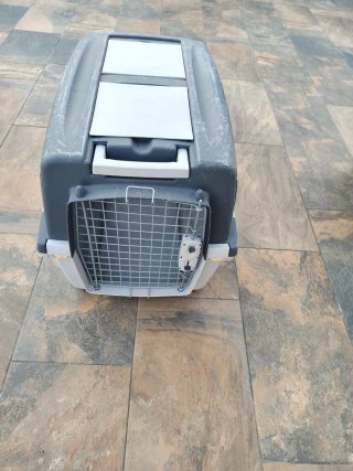 Caseta para perro de Plástico. Regalo transportin