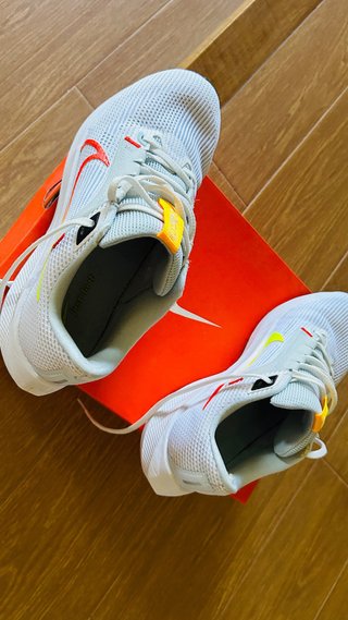 Zapatilla Nike Running Pegasus 40