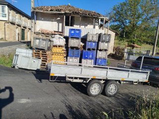 Contenedores plásticos y palets