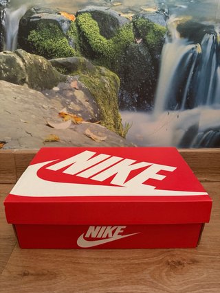 Nike Dunk High