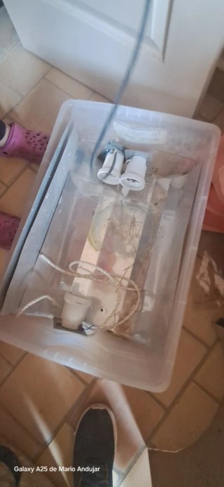 Conjunto de focos y extractor para invernadero