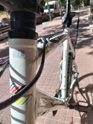 Orbea MTB