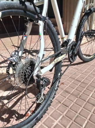 Orbea MTB