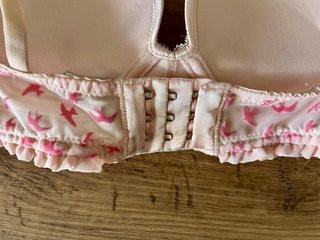 Sujetador Etam Push Up Rosa Pájaros