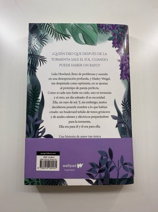 Boulevard La versión de Flor. Libro 1