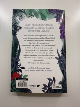 Boulevard La versión de Flor. Libro 1