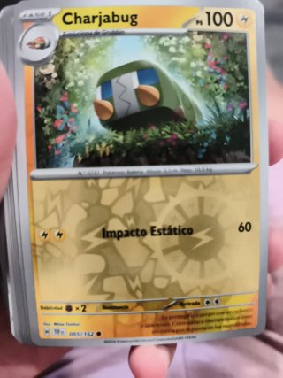 Carta Pokémon