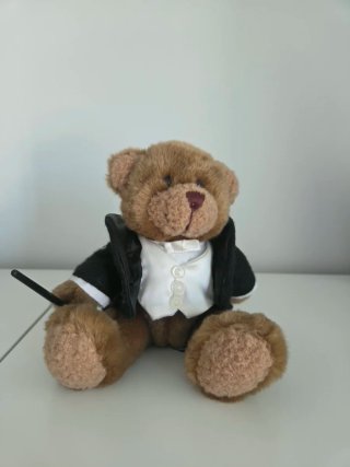 Collezione Orsetti Teddy Bear