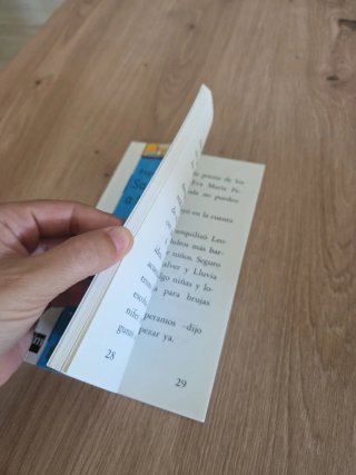 Libro "Salvad a la bruja"
