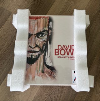 David Bowie Brilliant Adventure Box 18 LP Deluxe