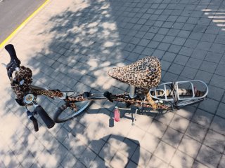 Bicicleta plegable personalizada leopardo