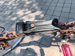 Bicicleta plegable personalizada leopardo