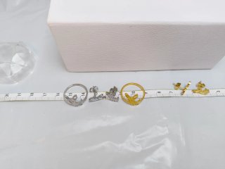 Conjunto de Anillos y Pendientes chihuahua