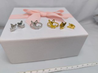 Conjunto de Anillos y Pendientes chihuahua