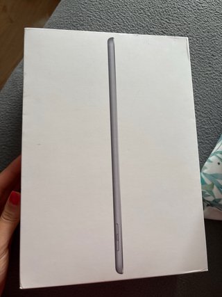 iPad 6ª Gen Plata