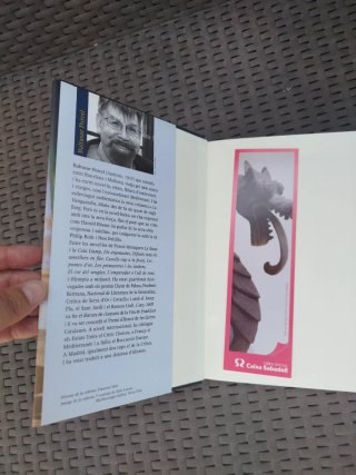 Llibre Cada Castell i totes les ombres